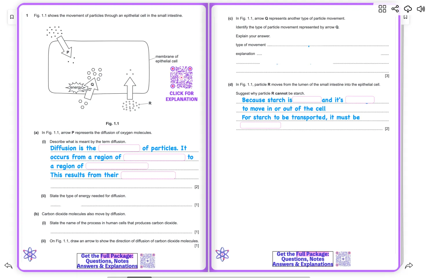 IGCSE Biology & Chemistry Solved Past Papers Package - Image 6