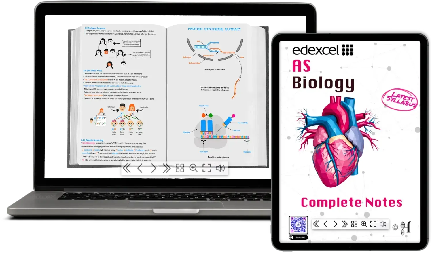IAL AS Biology ebook  + Interactive Quizzes & Flash Cards
