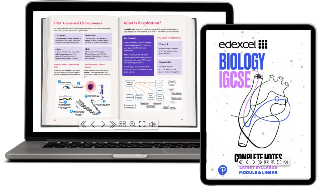 Edexcel IGCSE Biology Complete Notes Ebook + Interactive Quizzes, Flash Cards & Summaries (2026–2028)
