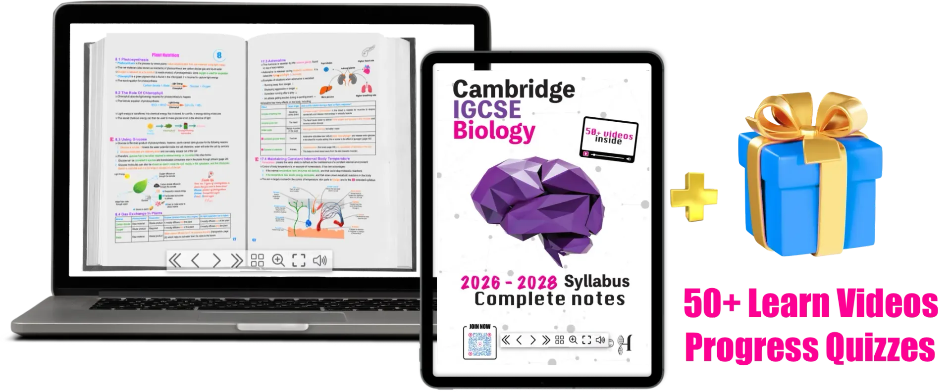 Cambridge IGCSE Biology 0610 and 0970 notes eBook written for the latest 2026 to 2028 syllabus