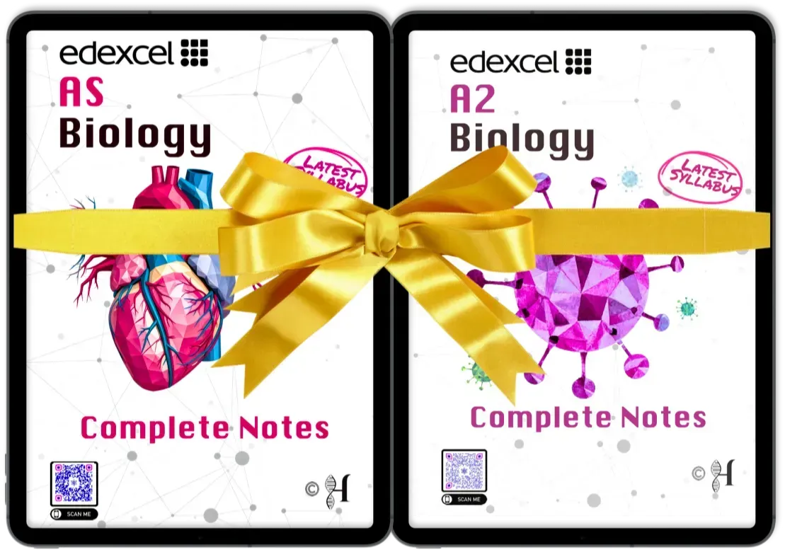 Edexcel IAL AS Biology (Units 1–3) and A2 Biology (Units 4–6) Complete Notes eBooks tied together with a gold gift ribbon
