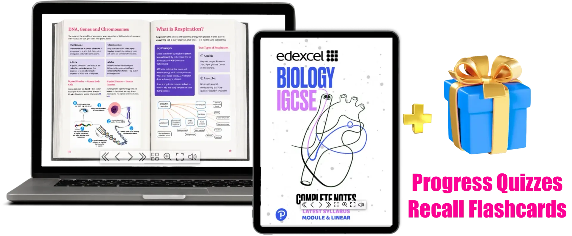 Edexcel International GCSE (IGCSE) Biology Complete Notes eBook cover for 4BI1