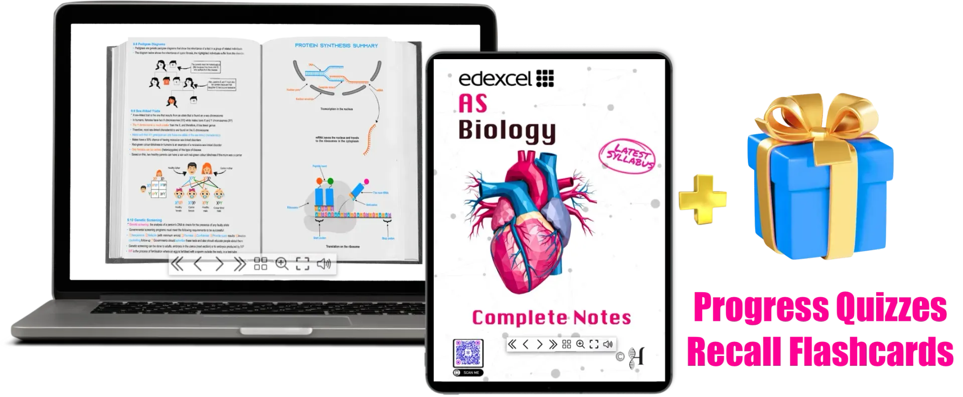 Edexcel IAL AS Biology Units 1-3 notes cover