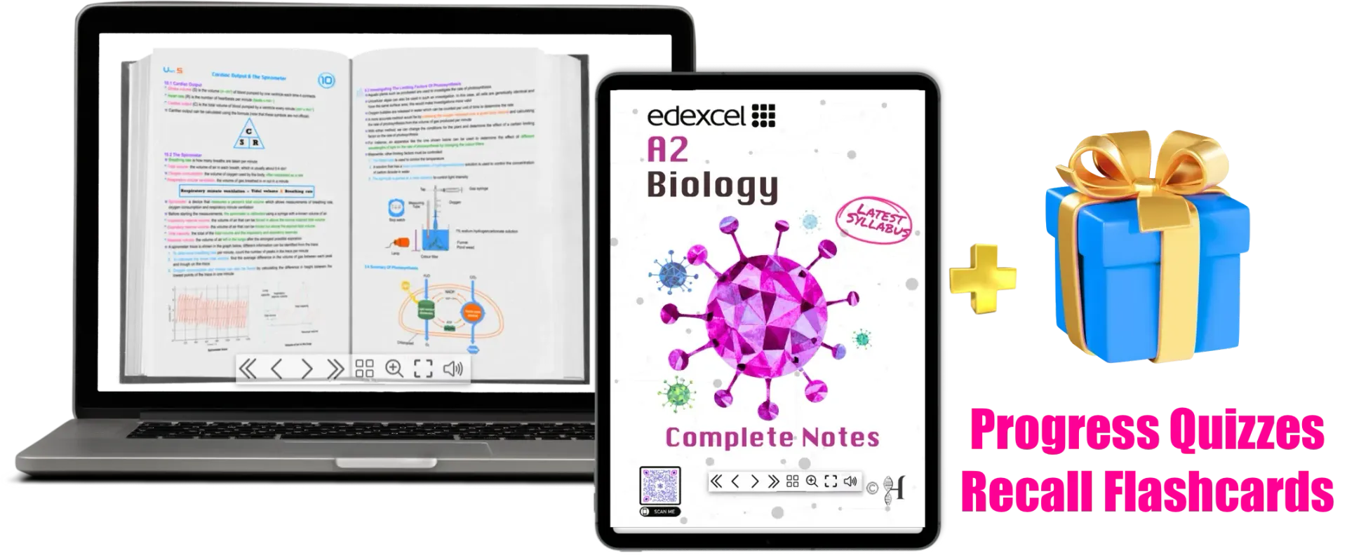 Edexcel IAL Biology Units 4-6 notes book cover