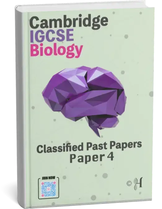 Paper 4 Solved Past Papers cover