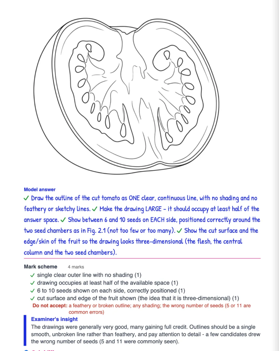A solved Paper 6 drawing question from the Chem Bio flipbook: a large line drawing of a tomato cut in half, the model answer, the four-point mark scheme and the note that 5 or 11 seeds were common errors
