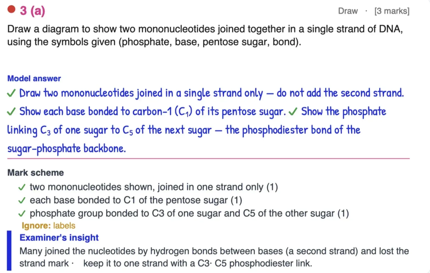 Solved IAL Biology past paper spread showing stepwise model answer with examiner report guidance